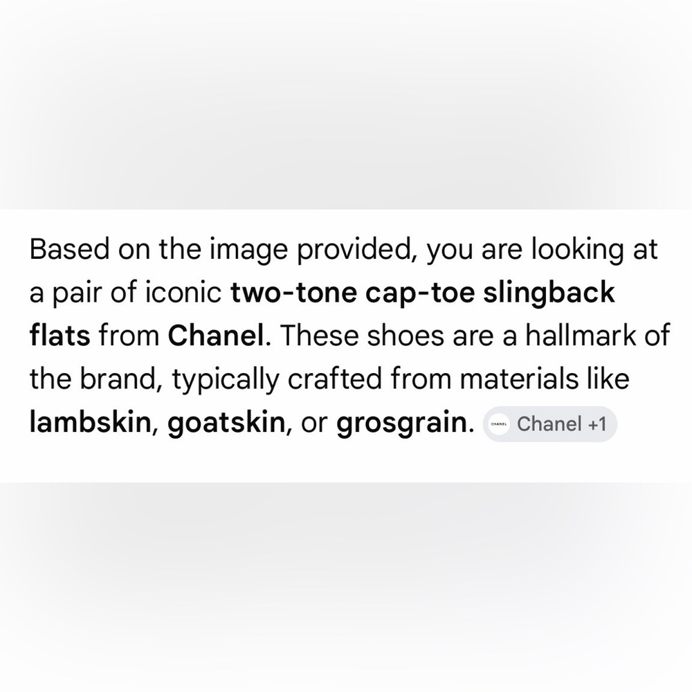 Chanel Two-Tone Beige and Black Pointed Toe Slingback Flats - Picture 8 of 15